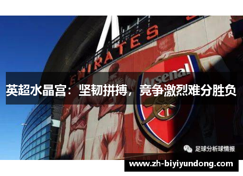 英超水晶宫：坚韧拼搏，竞争激烈难分胜负