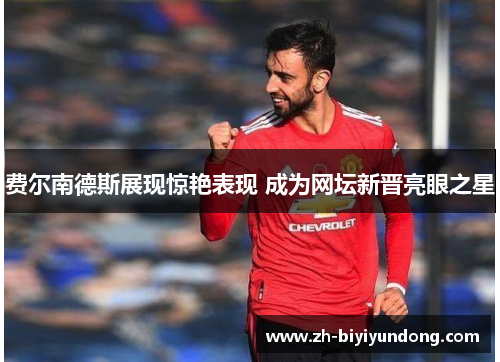 费尔南德斯展现惊艳表现 成为网坛新晋亮眼之星